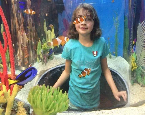 Inside the Fish Tank at Ripley's Aquarium of Canada