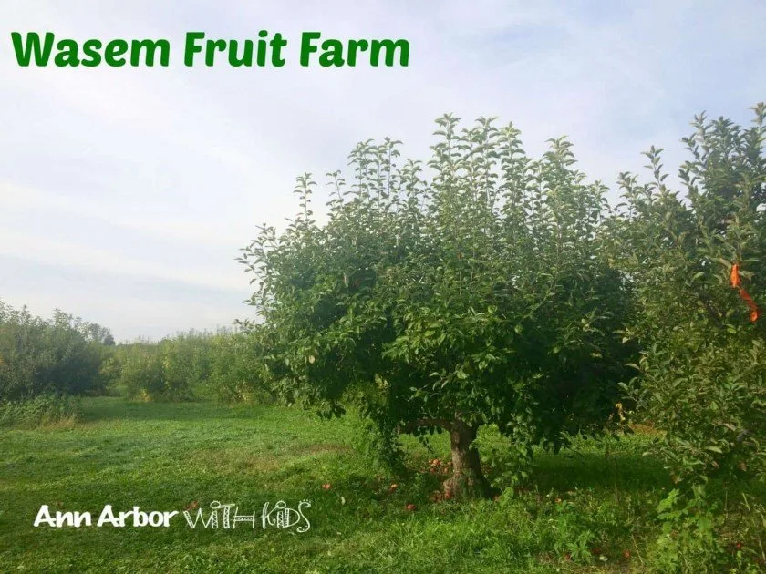 Wasem Fruit Farm Orchard View