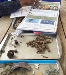 Archaeological Dig - Identification - Colonial Williamsburg - Virginia Road Trip