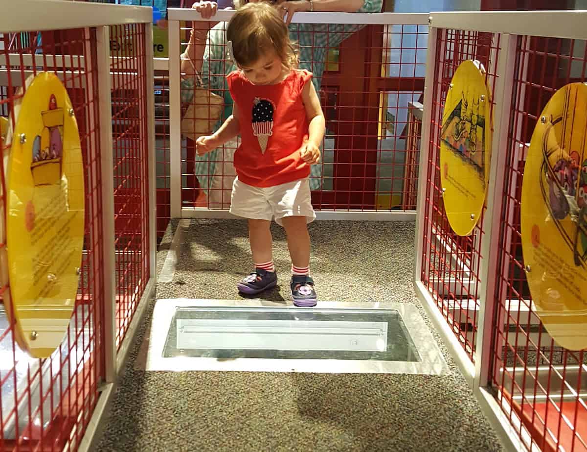 Ann Arbor Hands-On Museum - Preschool Gallery- Engineers on a Roll
