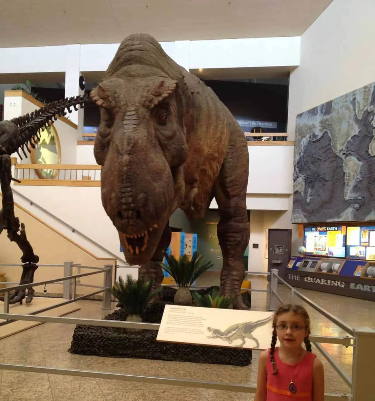 New Mexico Trip - Albuquerque New Mexico Museum of Natural History