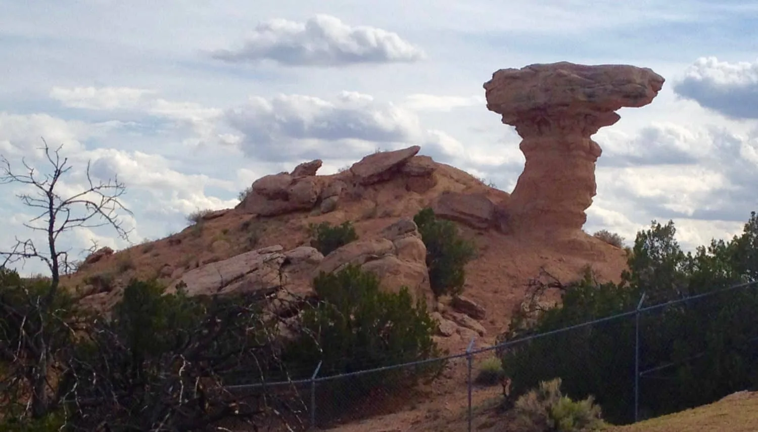 New Mexico Trip - Santa Fe - Camel North of Town