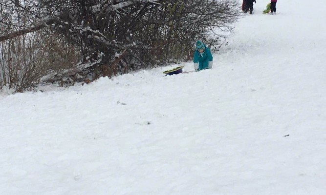 Crawling up the hill while Sledding at Veterans Memorial Park