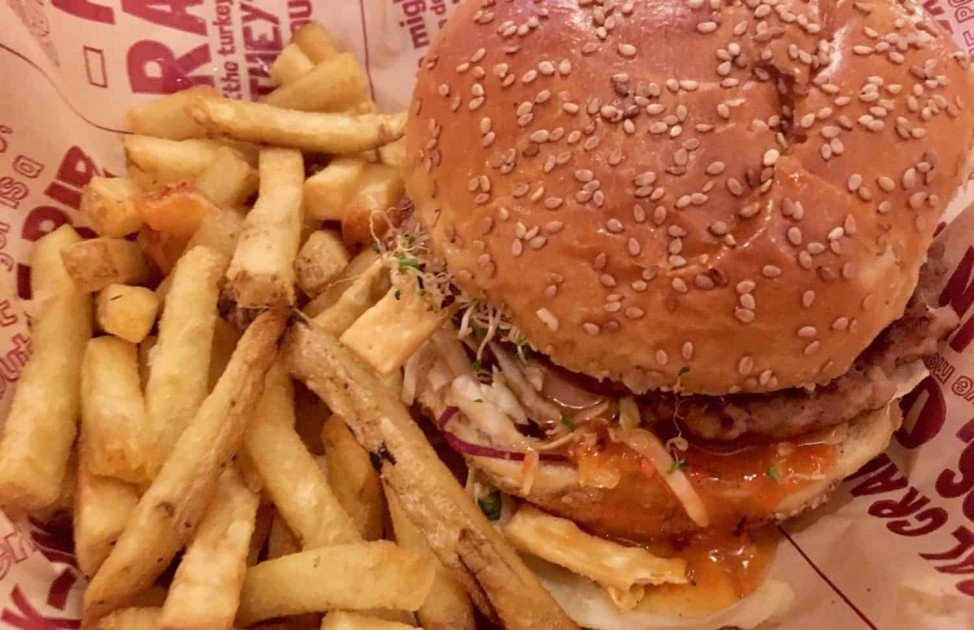 Bagger Dave's Review - Asian Turkey Burger