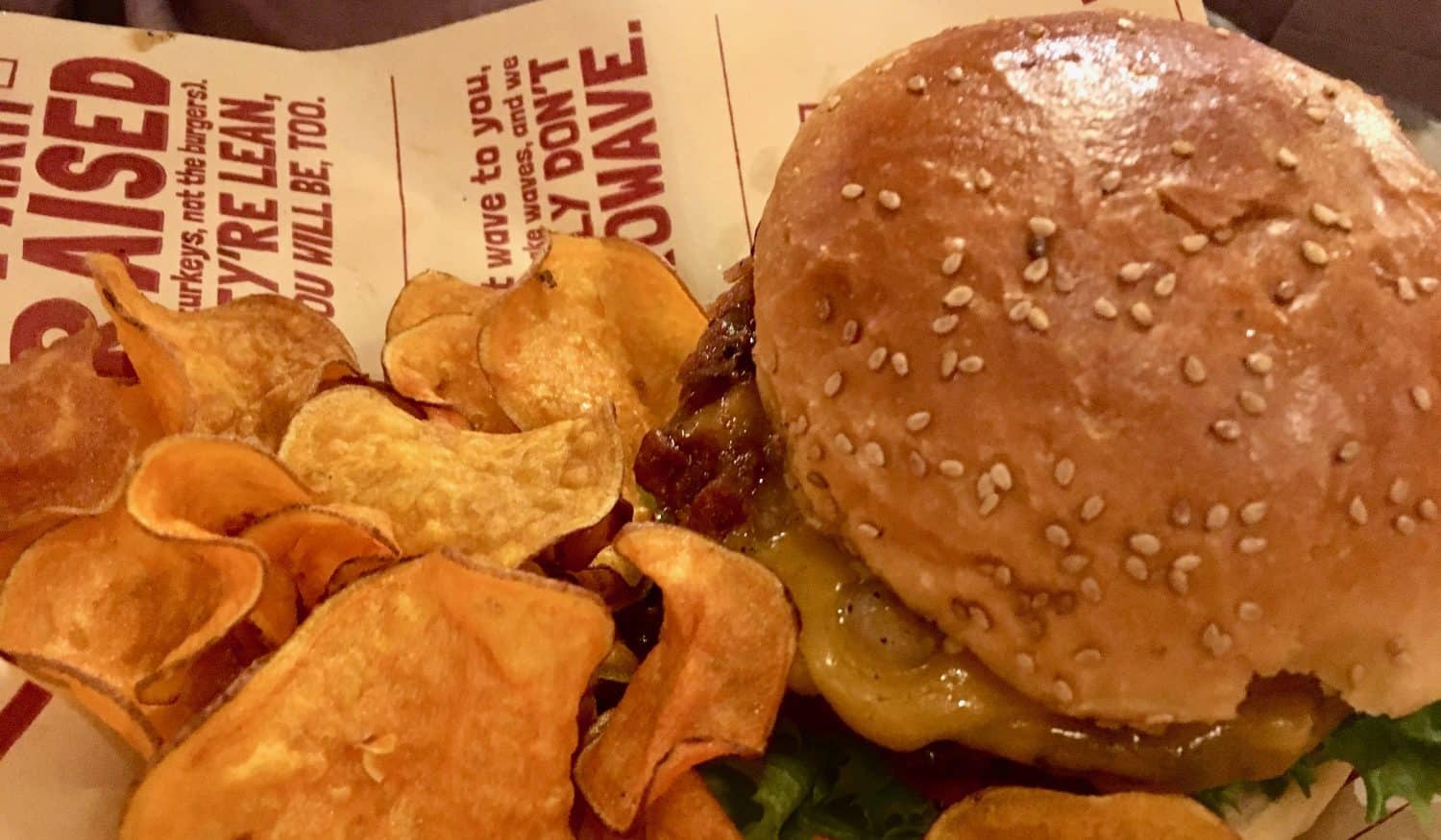 Bagger Dave's Review - Bacon BBQ Burger
