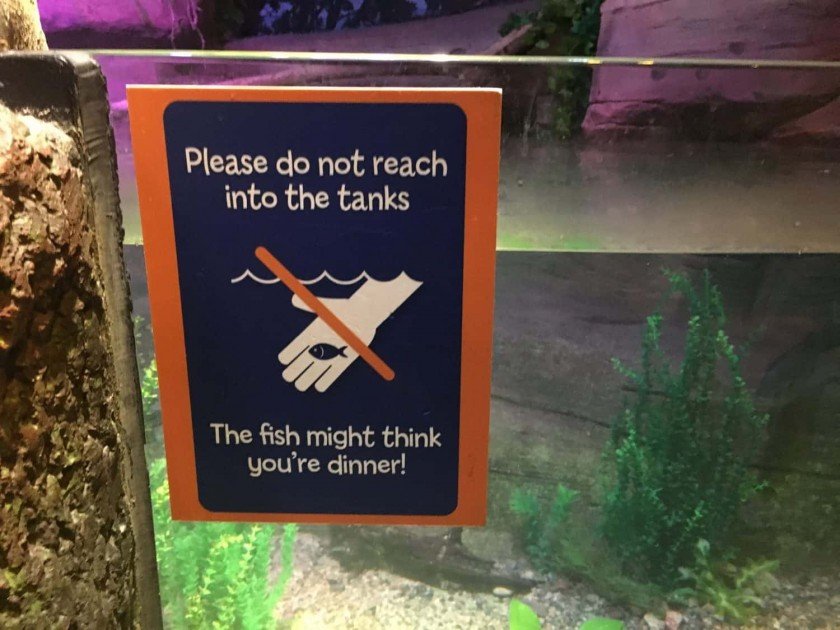 Sea Life Michigan Aquarium - Fun Sign