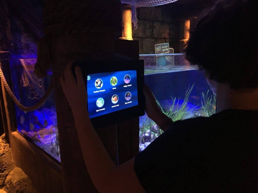 Sea Life Michigan Aquarium - Information Screens