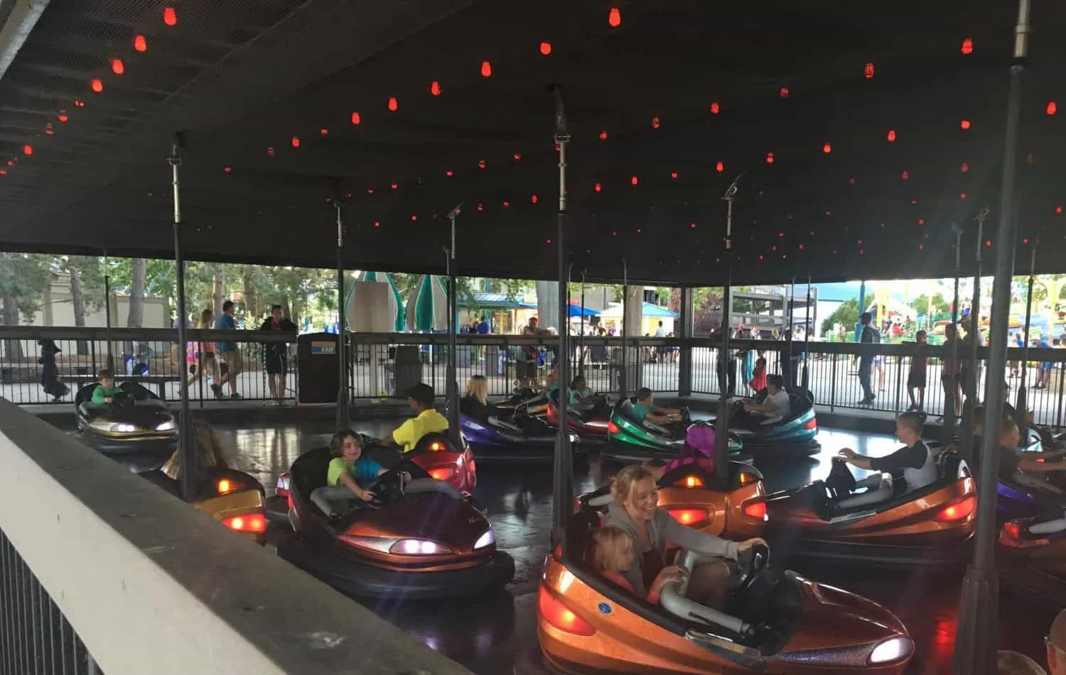 Cedar Point - Wednesday Activity Review - Bumper Cars
