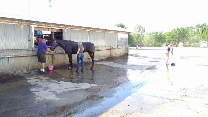 4-H Youth Show - Horse Bath