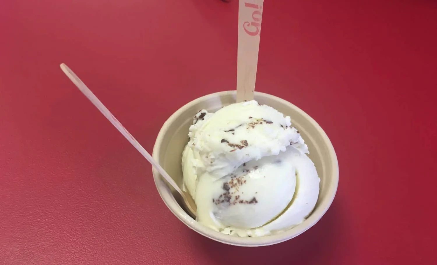 Go Ice Cream - Mint Chocolate Chip
