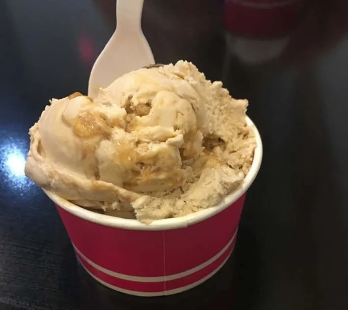 Ann Arbor Ice Cream Tour - Michigan Creamery