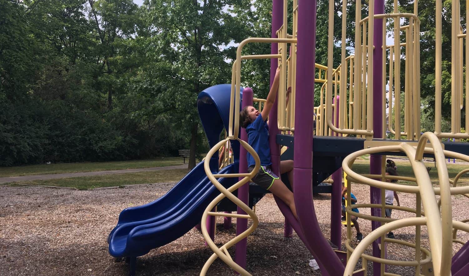 South Maple Park - Playground Profile - Setting a Bad Example, Climbing the Outside