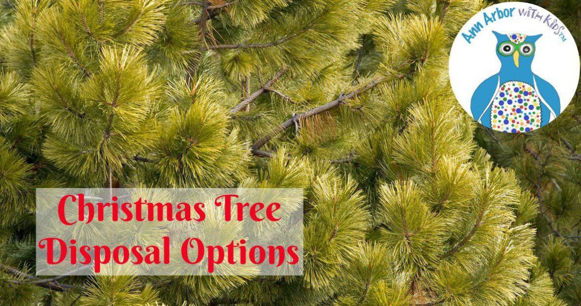 Ann Arbor Christmas Tree Disposal Options