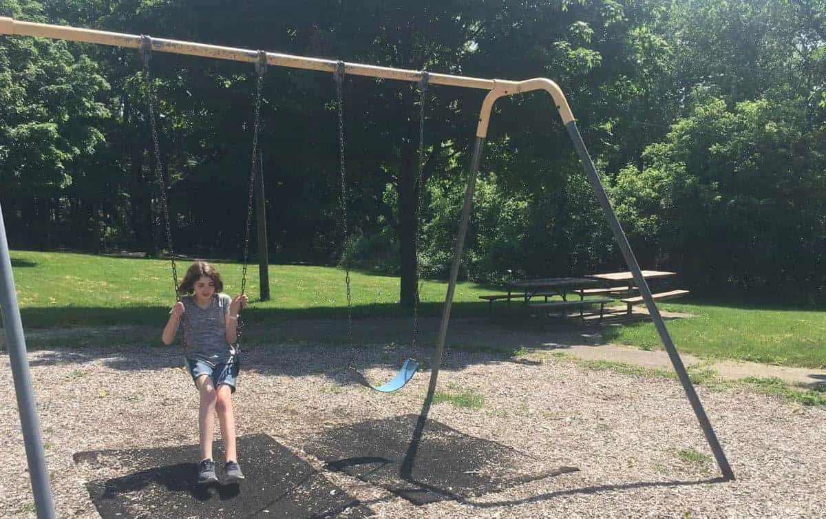 Swings picture