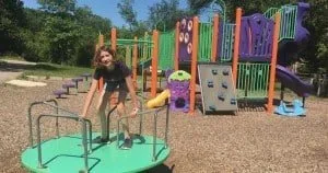 Ann Arbor Winewood Thaler Playground Profile - Merry Go Round & Structure