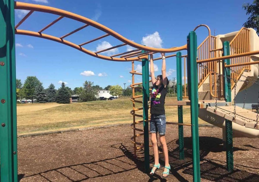 Ann Arbor Pittsfield Township Park - Wave Monkey Bars