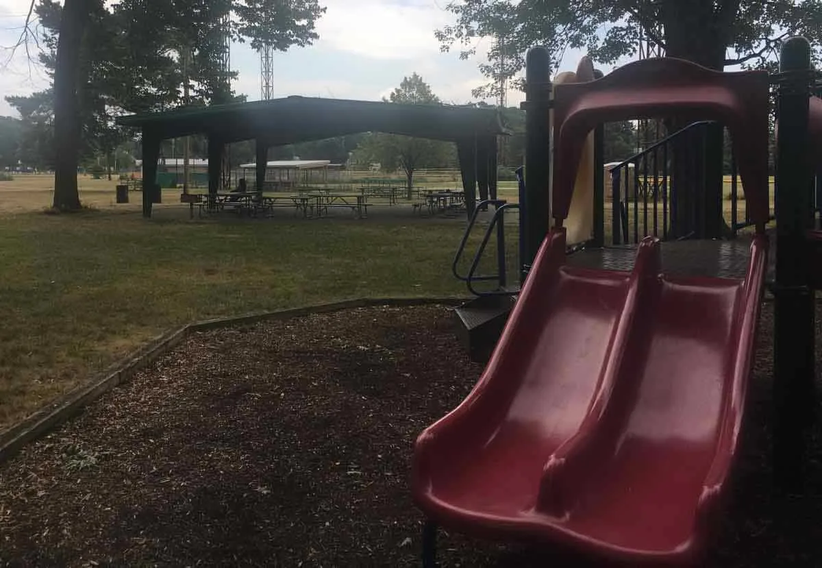 Swings picture