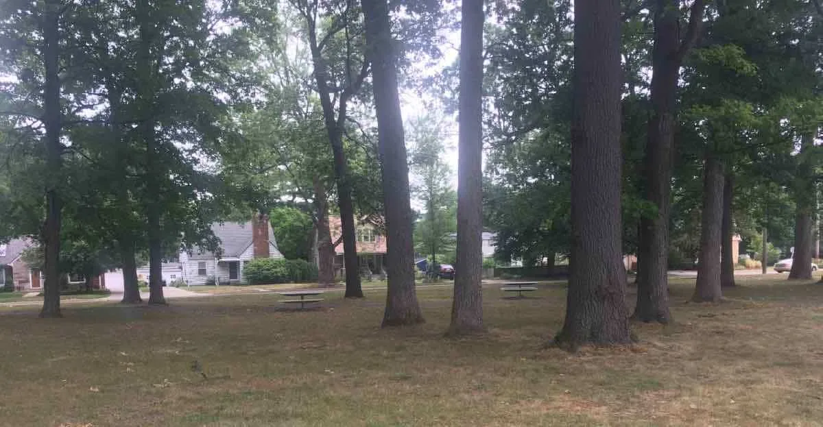 Ypsilanti's Recreation Park - Shaded picnic area