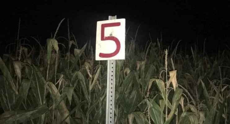 Blast Corn Maze - Marker
