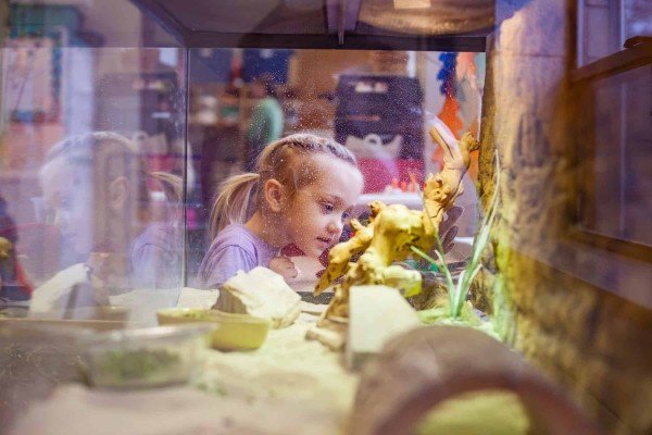 Triangle Cooperative Preschool - Exploring Aquarium