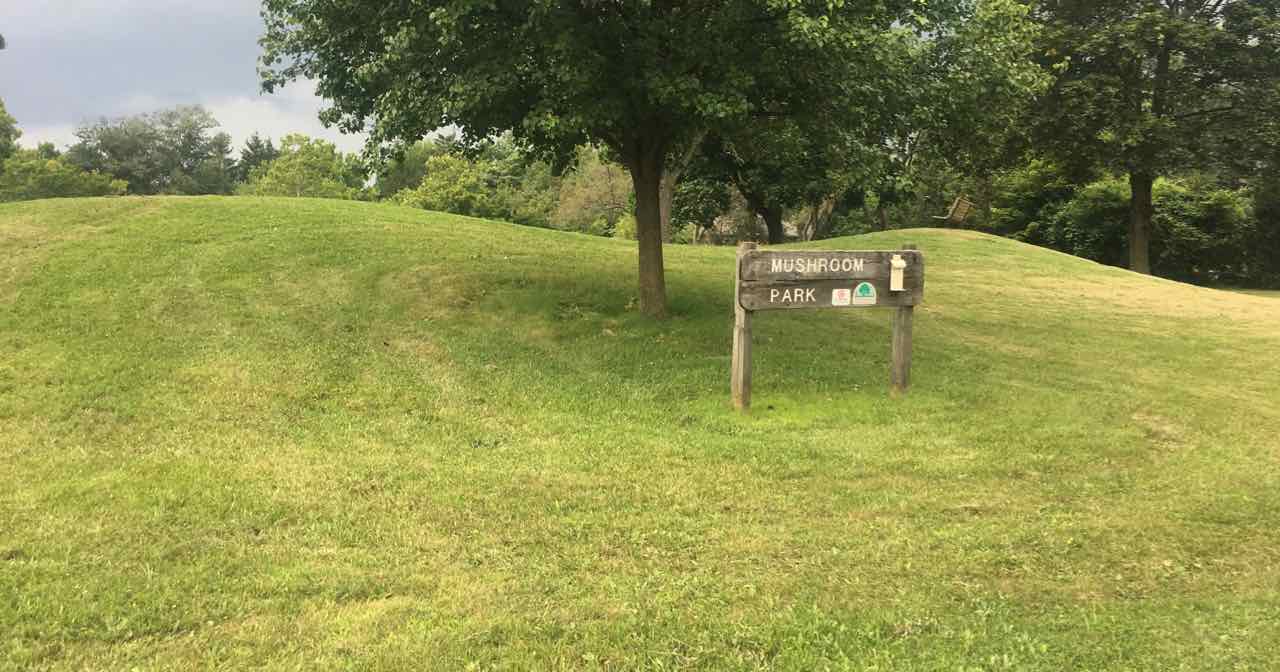 Ann Arbor's Mushroom Park Playground Profile Ann Arbor with Kids
