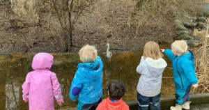 Green Apple Garden - Upper School - preschoolers stand on a boardwalk and  point out a  stork in a creek.
