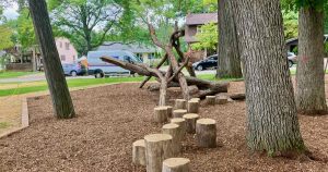 Allmendinger Park - Stumps and large branches for play.