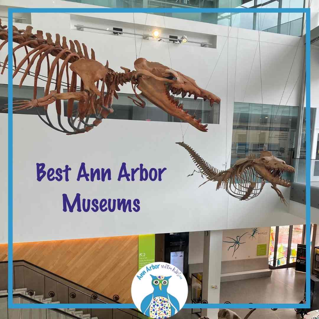 Best Ann Arbor Museums - skeletons hanging from UM Museum of Natural History