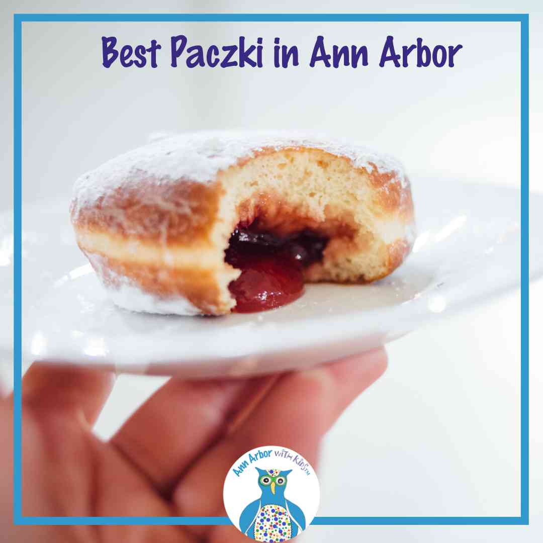 Best Paczki in Ann Arbor - A hand holds a white plate with paczki dusted in powdered sugar. There is a bite taken out of the paczki to show the red jelly oozing out