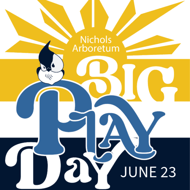 Nichols Arboretum Big Play Day June 23