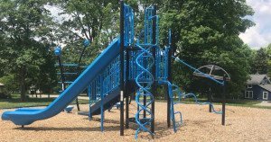 Dexter's Lions Playground - Structure