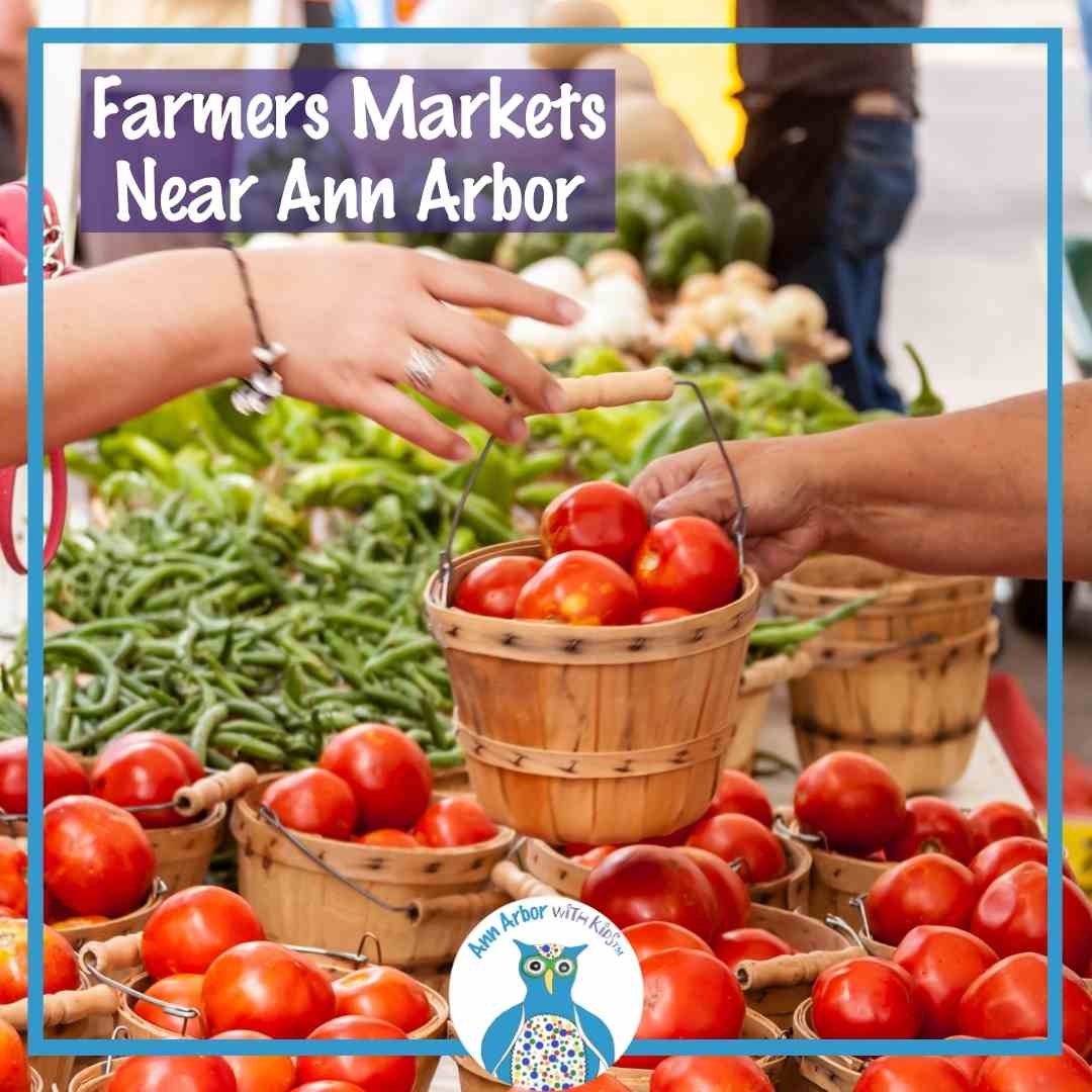 Farmers Markets Near Ann Arbor - A customer hands a bucket of tomatoes to farmers market attendant. More buckets of tomatoes and beans, peppers, and other produce sit on tables