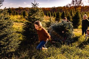Hillside Christmas Tree Farm - girl pulls wagon with Christmas tree in the field