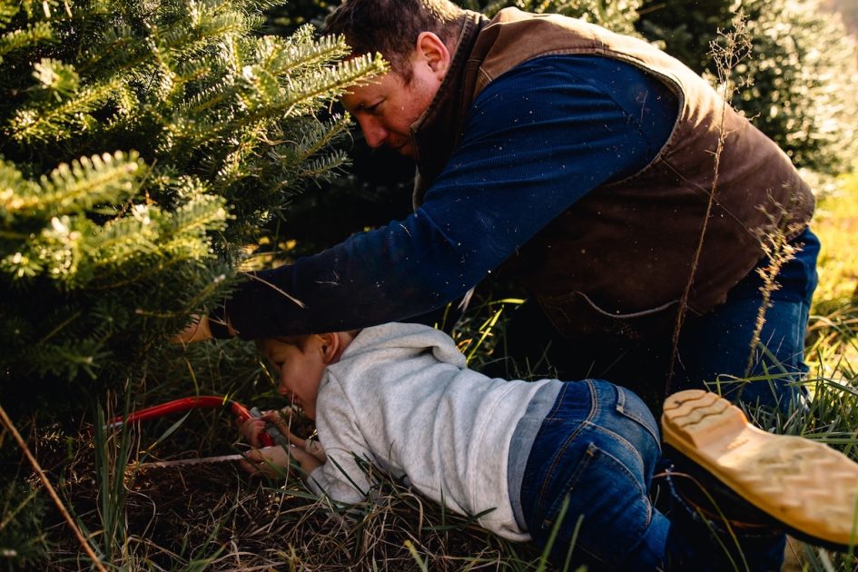 Hillside Christmas Tree Farm - Dad and child under tree cutting it down.
