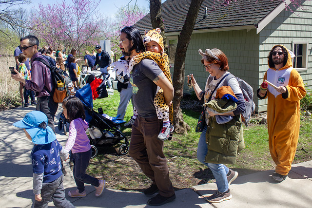 LSNC Earth Day Festival - All Species Parade - children & adults dressed as animals parade around the critter house. Photo provided by LSNC
