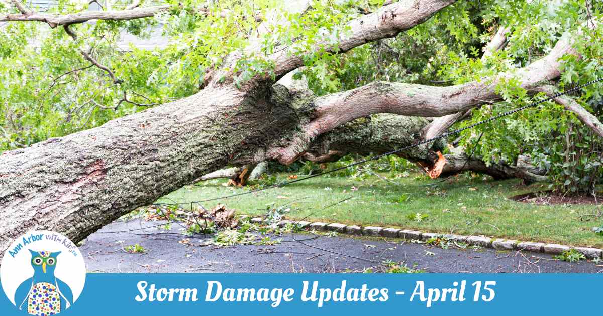 Storm Damage Updates - April 15 - a tree is down across the road