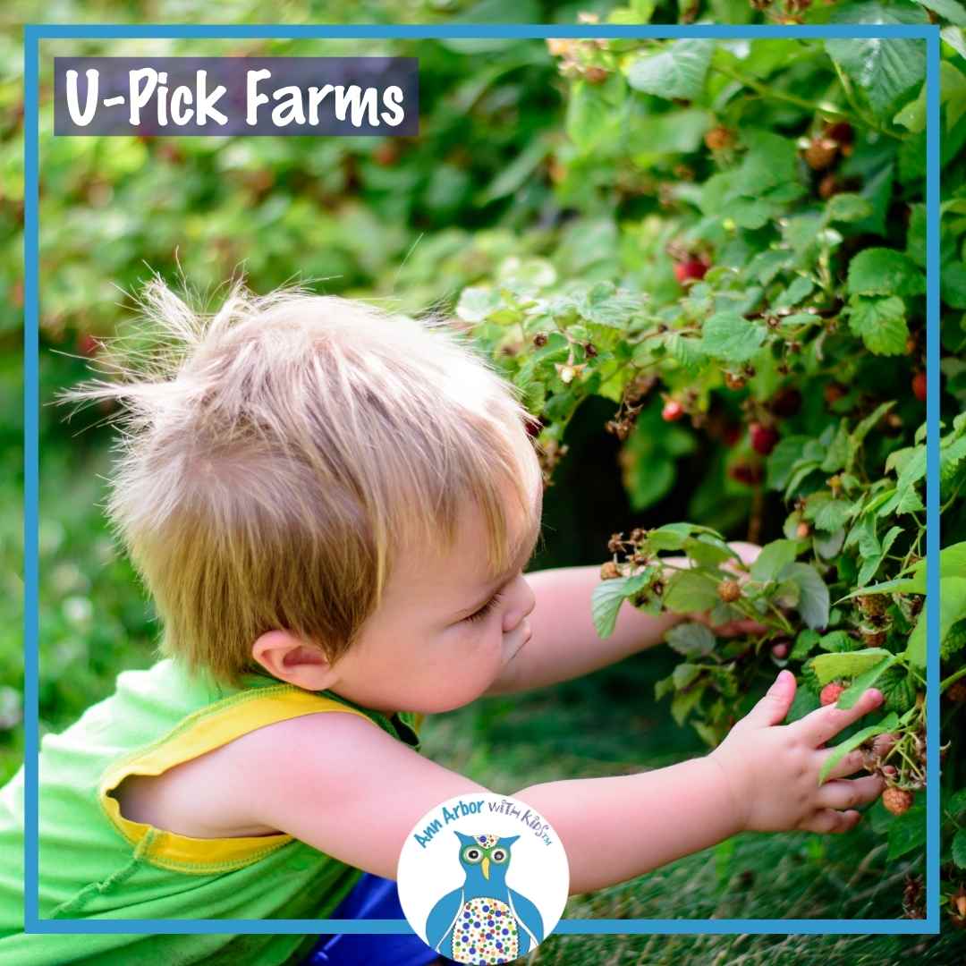 U-PIck Farms Near Ann Arbor - Two girls picking fruit in a field